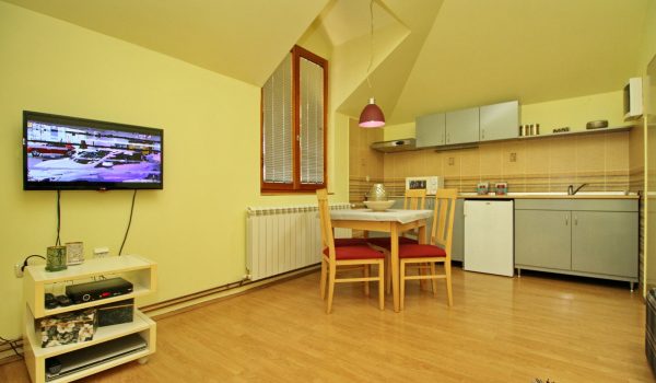 Apartman Zona centar 01