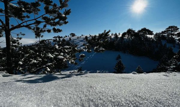 Zlatibor, Smeštaj Zlatibor najpovoljnije cene, Apartmani Zlatibor direktno od vlasnika,